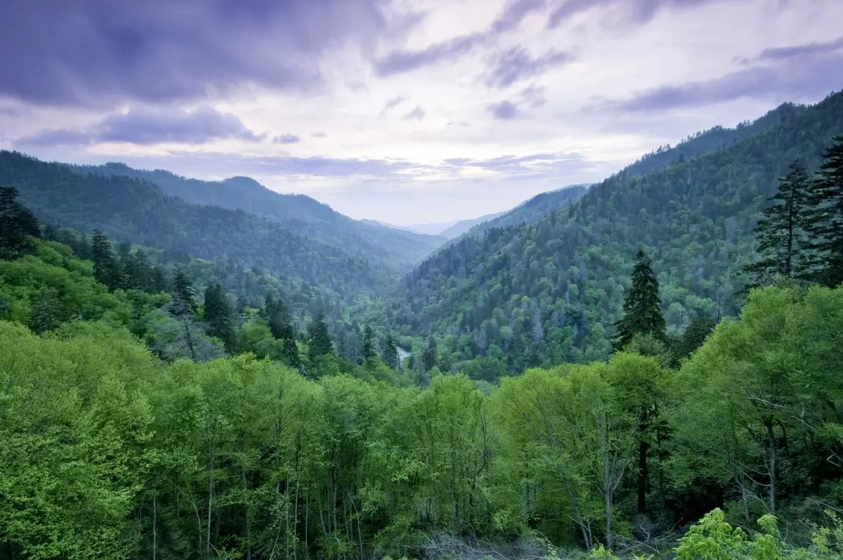 Cabin getaways in United States